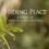 Hiding Place – A video of meditation and reflection.